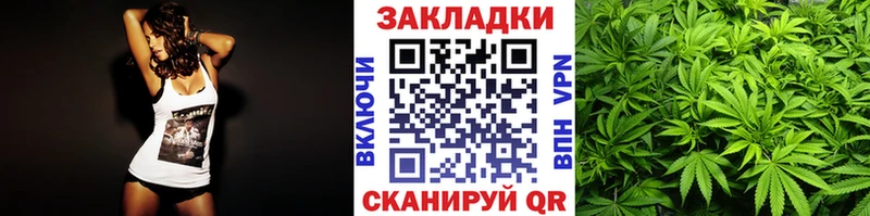 Где найти наркотики Инта Канабис  АМФ  Галлюциногенные грибы  Alpha-PVP  МЕФ 