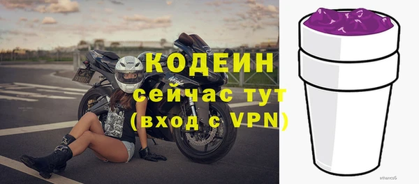 сатива Арсеньев