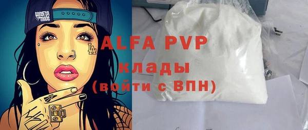 сатива Арсеньев