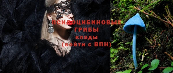 сатива Арсеньев