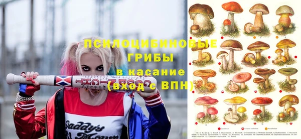 сатива Арсеньев