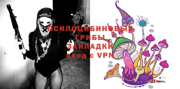 эйфоретик Строитель