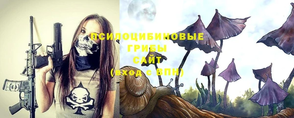 стафф Аркадак
