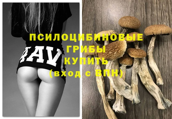 альфа пвп Армянск