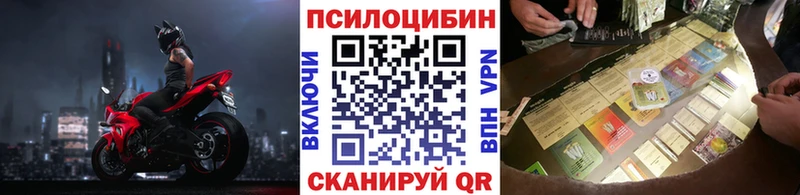 Псилоцибиновые грибы Psilocybe  Инта 