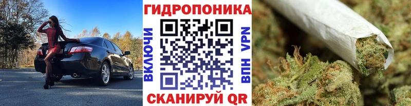 Марихуана White Widow  дарнет шоп  Инта 